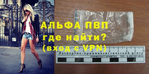 эйфоретик Богданович