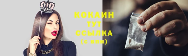 прущие крисы Богородицк