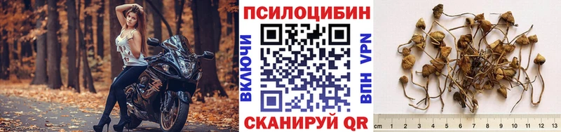 Псилоцибиновые грибы ЛСД  Волосово 